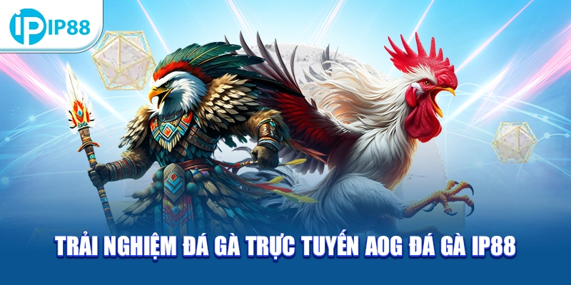 Trải nghiệm đá gà trực tuyến AOG đá gà IP88