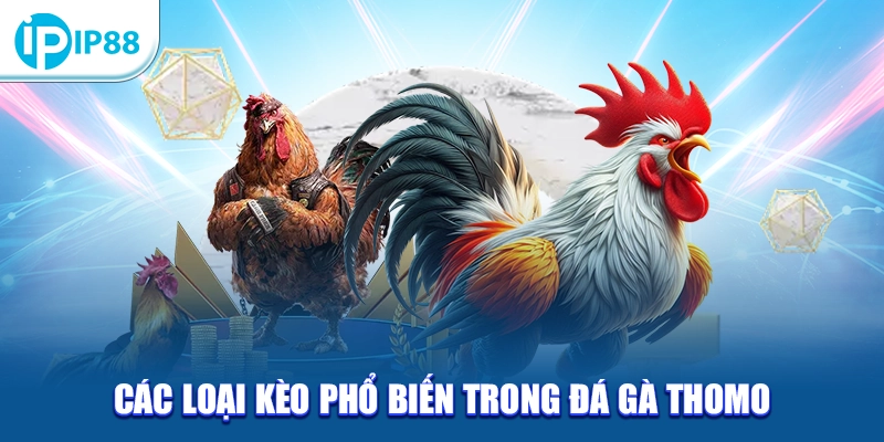 Các loại kèo phổ biến trong đá gà Thomo