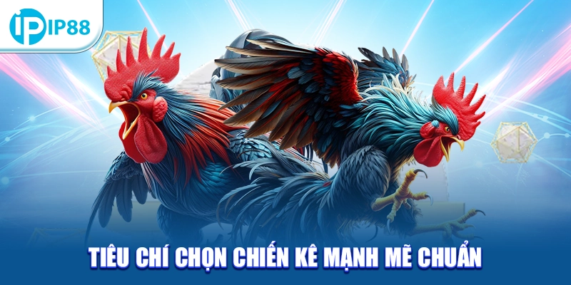 Tiêu chí chọn chiến kê mạnh mẽ chuẩn