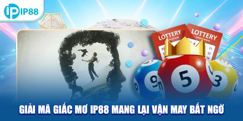 Giải mã giấc mơ IP88 mang lại vận may bất ngờ