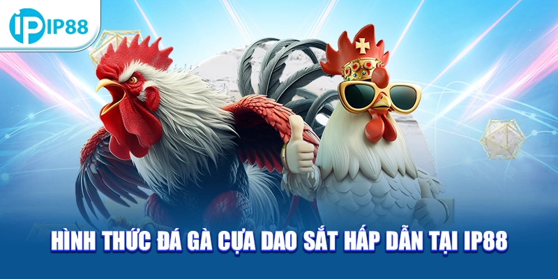 Hình thức đá gà cựa dao sắt hấp dẫn tại IP88