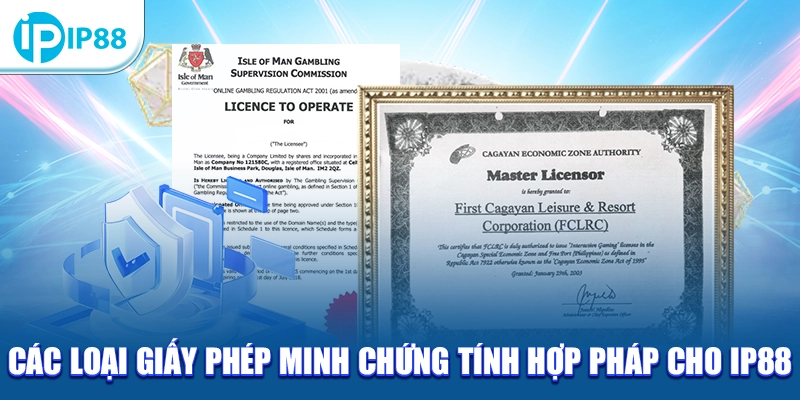 Các loại giấy phép minh chứng tính hợp pháp cho IP88