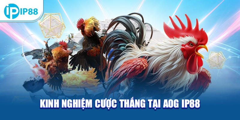 Kinh nghiệm cược thắng tại AOG IP88