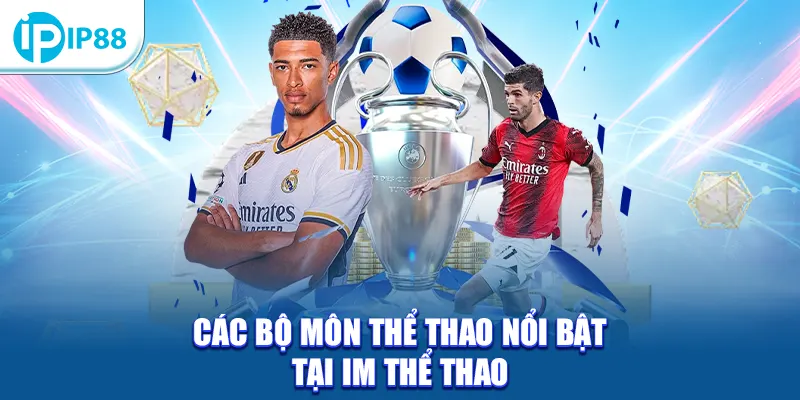 Các bộ môn thể thao nổi bật tại IM Thể Thao