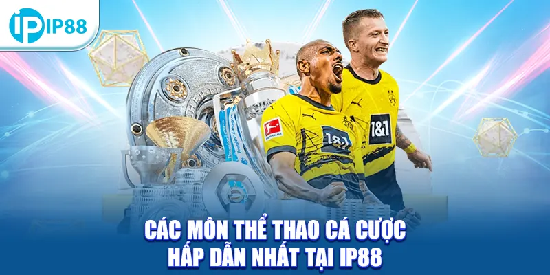 Các môn thể thao cá cược hấp dẫn nhất tại IP88