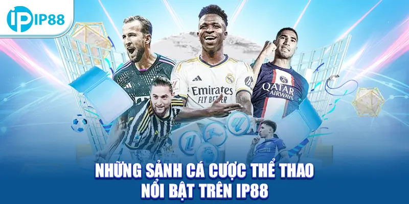 Những sảnh cá cược thể thao nổi bật trên IP88